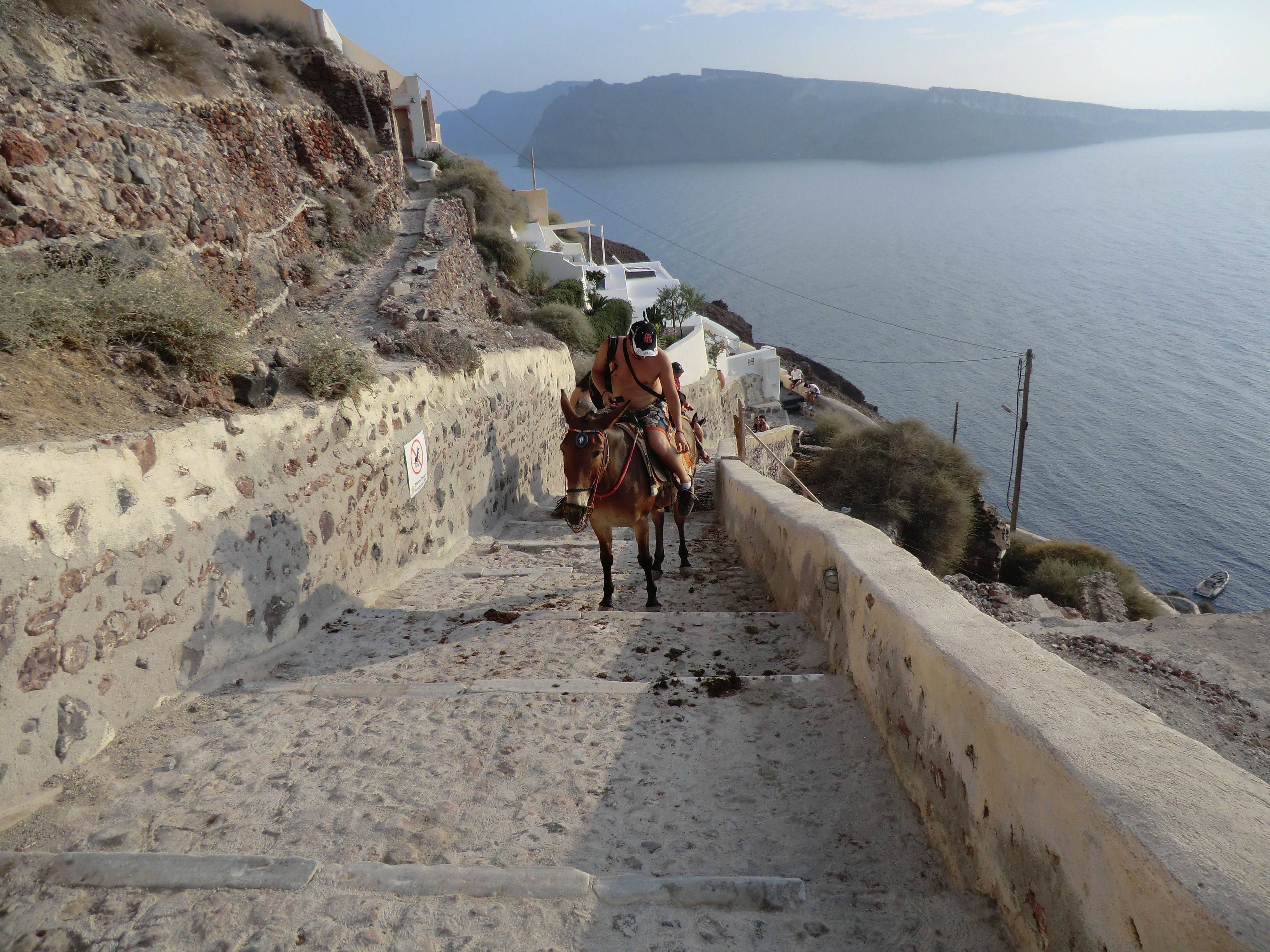 世俱杯分组-匈牙利挑战希腊,中欧劲旅对攻!