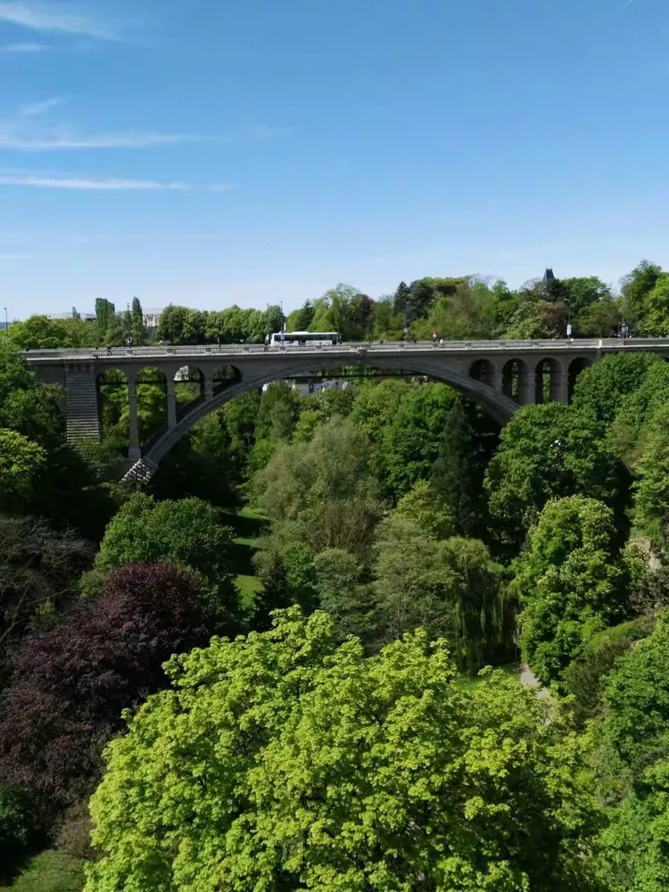 卢森堡悲情遭壁垒,独自横行难免再次投奔 卢森堡悲情遭壁垒,独自横行难免再次投奔