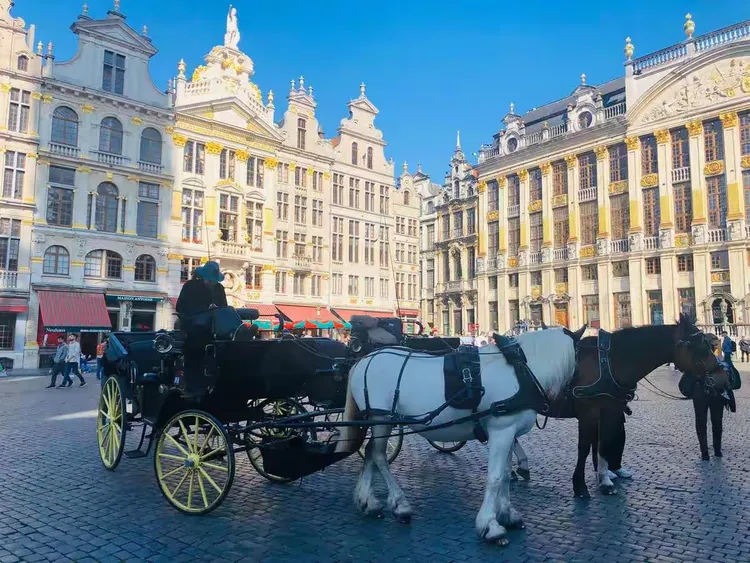 世俱杯冠军-卢森堡运动员备战积累实战经验,备战计划有序