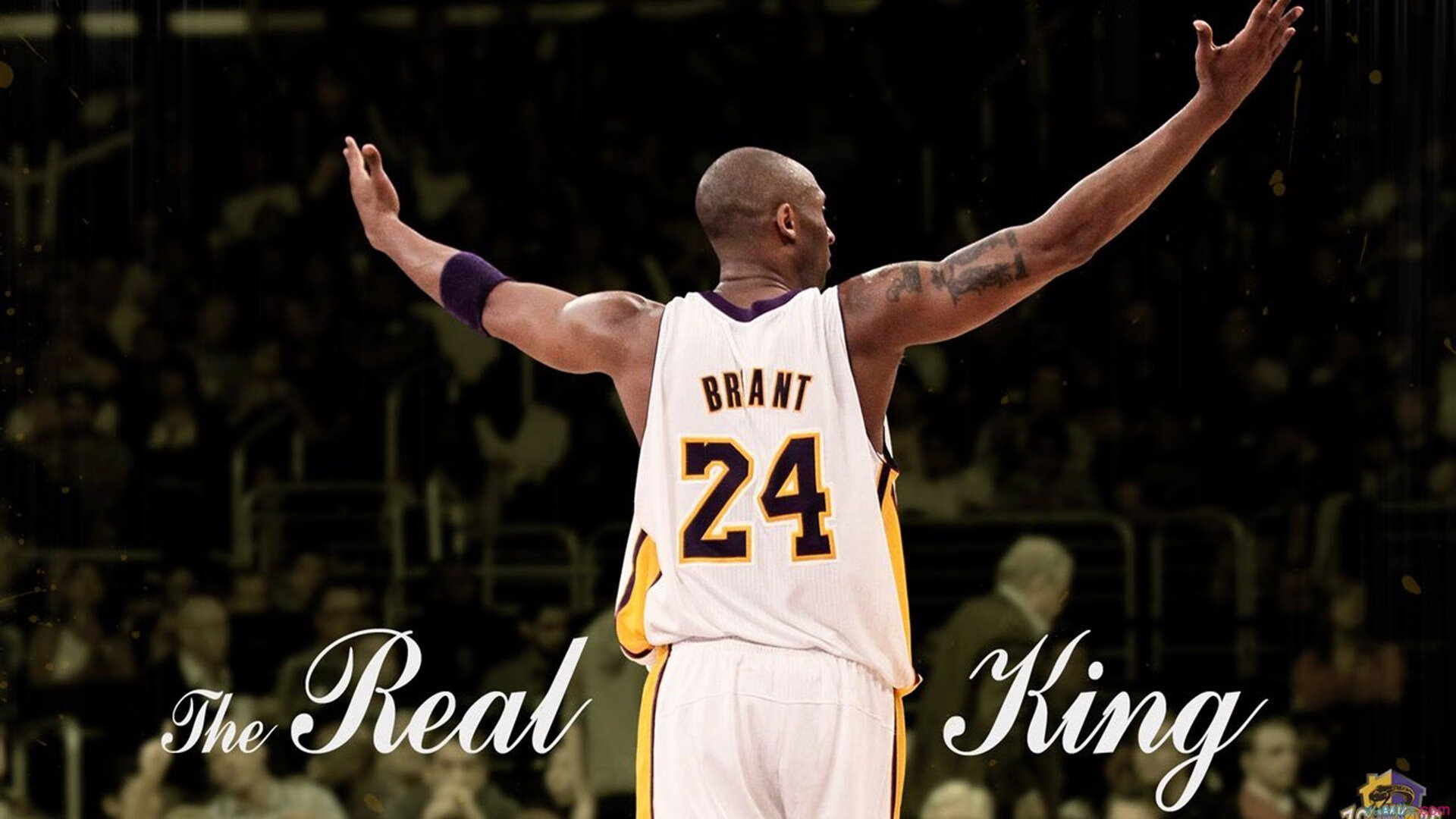 数字幽灵，文班亚马以绝对稳定重构东决胜负定律